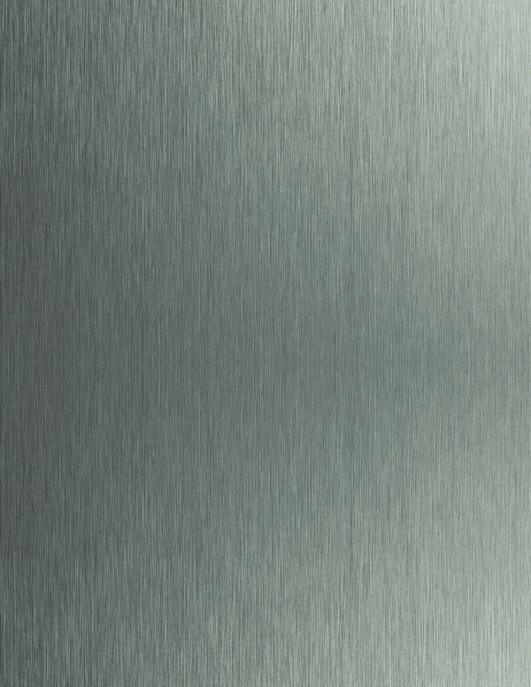 STAINLESS STEEL BRUSH 2035 (FORMICA)